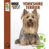 Yorkshire Terrier door Sandy Bergstrom Mesmer