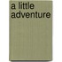 A Little Adventure