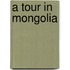A Tour in Mongolia