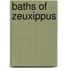 Baths of Zeuxippus door Ronald Cohn