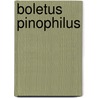 Boletus Pinophilus door Ronald Cohn