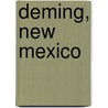 Deming, New Mexico by Ronald Cohn