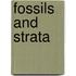 Fossils and Strata