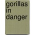 Gorillas In Danger