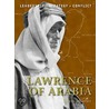 Lawrence Of Arabia door David Murphy
