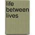 Life Between Lives