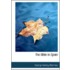 The Bible in Spain