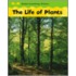 The Life Of Plants