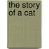 The Story Of A Cat