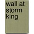 Wall At Storm King