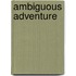 Ambiguous Adventure