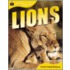 Animal Lives: Lions