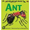 Bouncing Bugs - Ant door David Hawcock