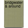 Bridgwater & Around door David C. Bown