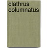 Clathrus Columnatus by Ronald Cohn