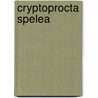 Cryptoprocta Spelea by Ronald Cohn