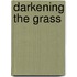 Darkening the Grass