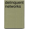 Delinquent Networks by Jerzy Sarnecki