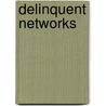 Delinquent Networks door Jerzy Sarnecki