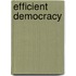 Efficient Democracy