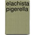 Elachista Pigerella