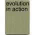 Evolution in Action