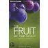 Fruit of the Spirit