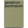 Geastrum Pectinatum by Ronald Cohn