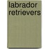 Labrador Retrievers