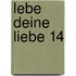 Lebe deine Liebe 14