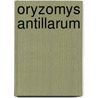 Oryzomys Antillarum by Ronald Cohn