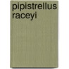 Pipistrellus Raceyi door Ronald Cohn