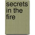 Secrets in the Fire