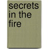 Secrets in the Fire door Henning Mankell