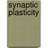Synaptic Plasticity