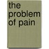 The Problem of Pain