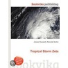 Tropical Storm Zeta by Ronald Cohn