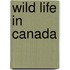 Wild Life In Canada