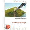 Bear Mountain Bridge by Ronald Cohn