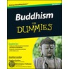 Buddhism For Dummies door Stephen Bodian
