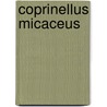 Coprinellus Micaceus door Ronald Cohn