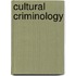 Cultural Criminology
