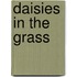 Daisies In The Grass