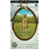 Everything for a Dog by Ann Matthews Martin