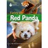 Farley The Red Panda