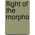 Flight of the Morpho