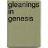 Gleanings In Genesis