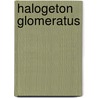 Halogeton Glomeratus by Ronald Cohn