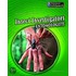 Insect Investigators