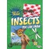 Insects You Can Draw